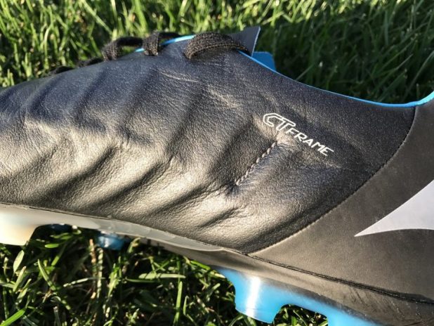 Mizuno Rebula CT Frame